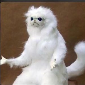 Meet your Posher, Pablo